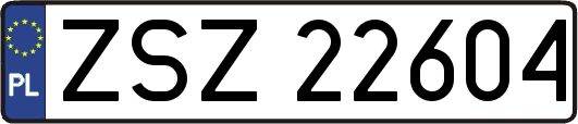 ZSZ22604