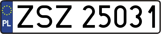 ZSZ25031