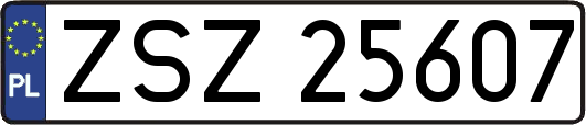 ZSZ25607