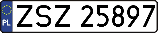 ZSZ25897