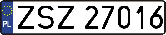 ZSZ27016