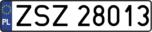 ZSZ28013
