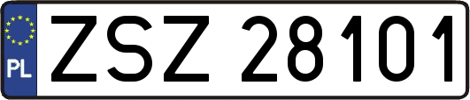 ZSZ28101