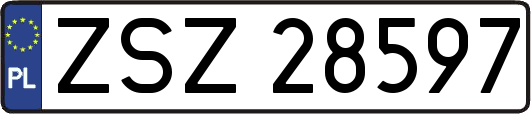 ZSZ28597