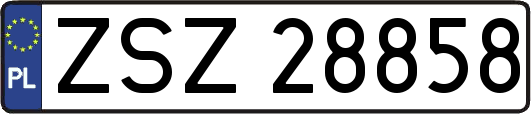 ZSZ28858
