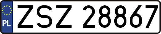 ZSZ28867
