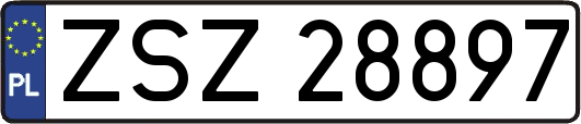 ZSZ28897