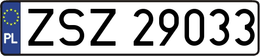 ZSZ29033