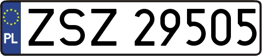 ZSZ29505