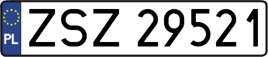 ZSZ29521