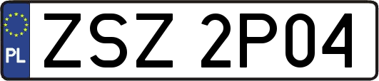 ZSZ2P04