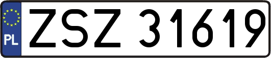 ZSZ31619