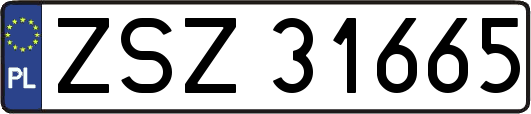 ZSZ31665
