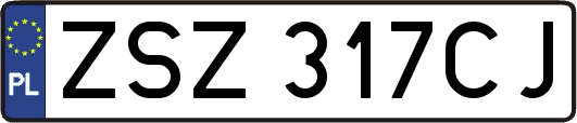 ZSZ317CJ