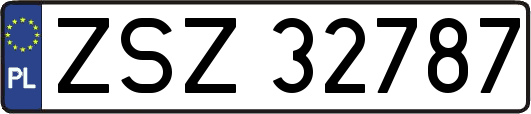 ZSZ32787