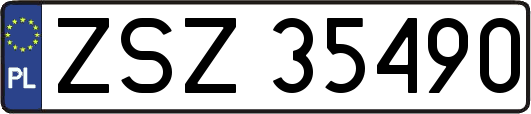 ZSZ35490