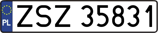 ZSZ35831