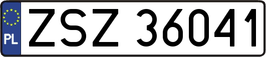 ZSZ36041