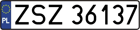 ZSZ36137