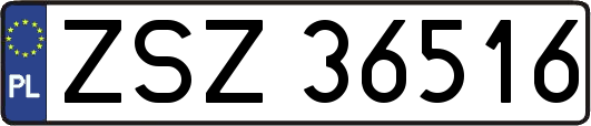 ZSZ36516