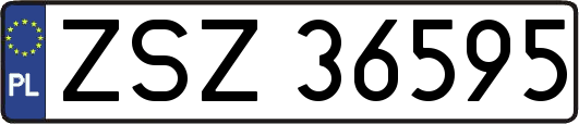 ZSZ36595