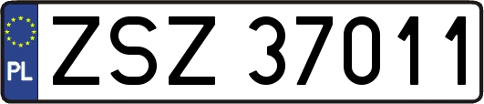 ZSZ37011