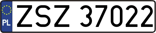 ZSZ37022