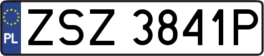 ZSZ3841P