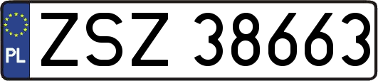 ZSZ38663