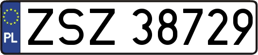 ZSZ38729