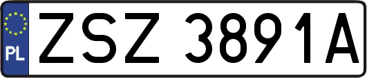 ZSZ3891A
