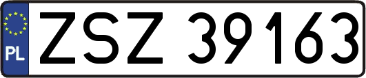 ZSZ39163