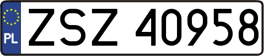 ZSZ40958