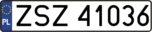 ZSZ41036