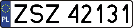 ZSZ42131