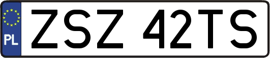 ZSZ42TS