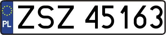 ZSZ45163
