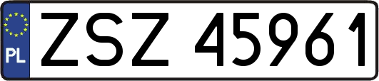 ZSZ45961