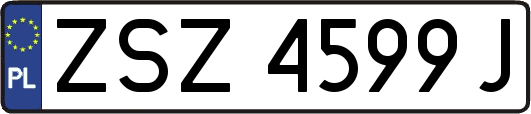 ZSZ4599J