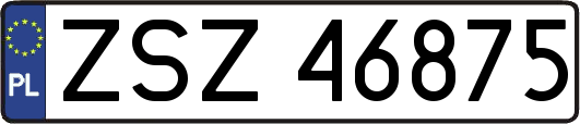 ZSZ46875