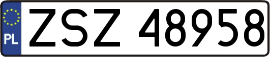 ZSZ48958