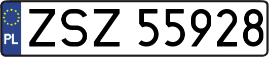 ZSZ55928