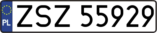 ZSZ55929