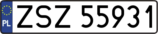ZSZ55931