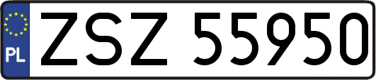 ZSZ55950