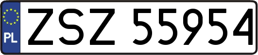 ZSZ55954
