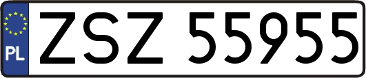 ZSZ55955