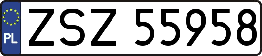 ZSZ55958
