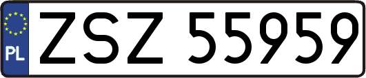 ZSZ55959