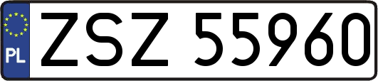 ZSZ55960